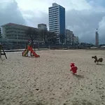 Casa Picadeiro Apartment Figueira da Foz
